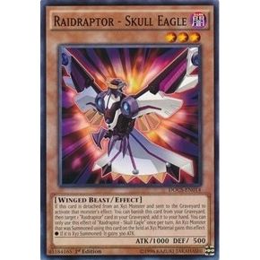 Image for Raidraptor - Skull Eagle (DOCS-EN014) (DOCS) - YuGiOh