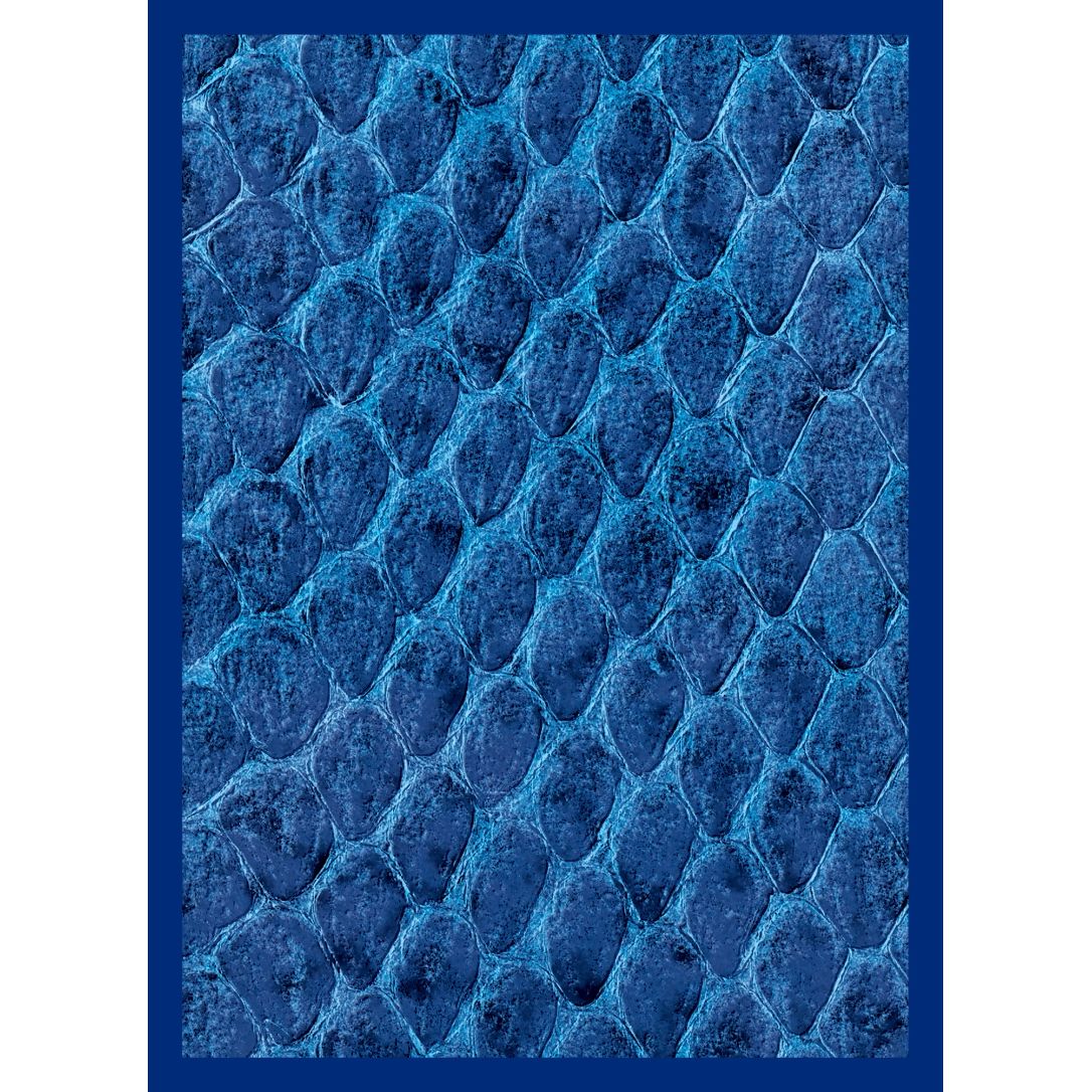 Image for Gloss Sleeve - Dragon Hide Blue (50-Pack) - Card Sleeves