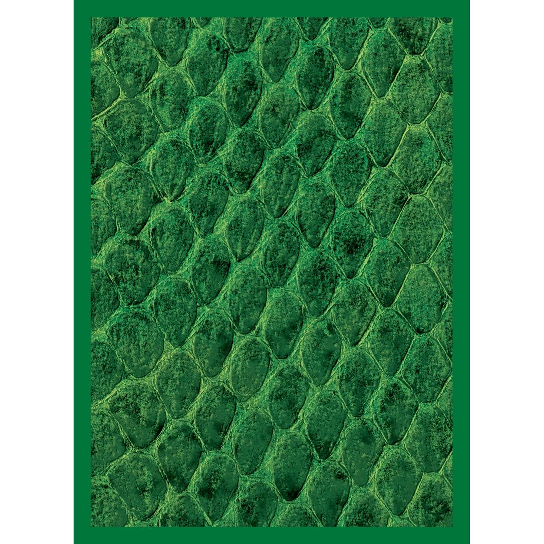 Image for Gloss Sleeve - Dragon Hide Green (50-Pack) - Card Sleeves