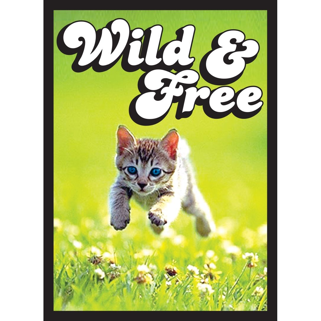 Image for Gloss Small Sleeve - Kitten (60-Pack) - Card Sleeves
