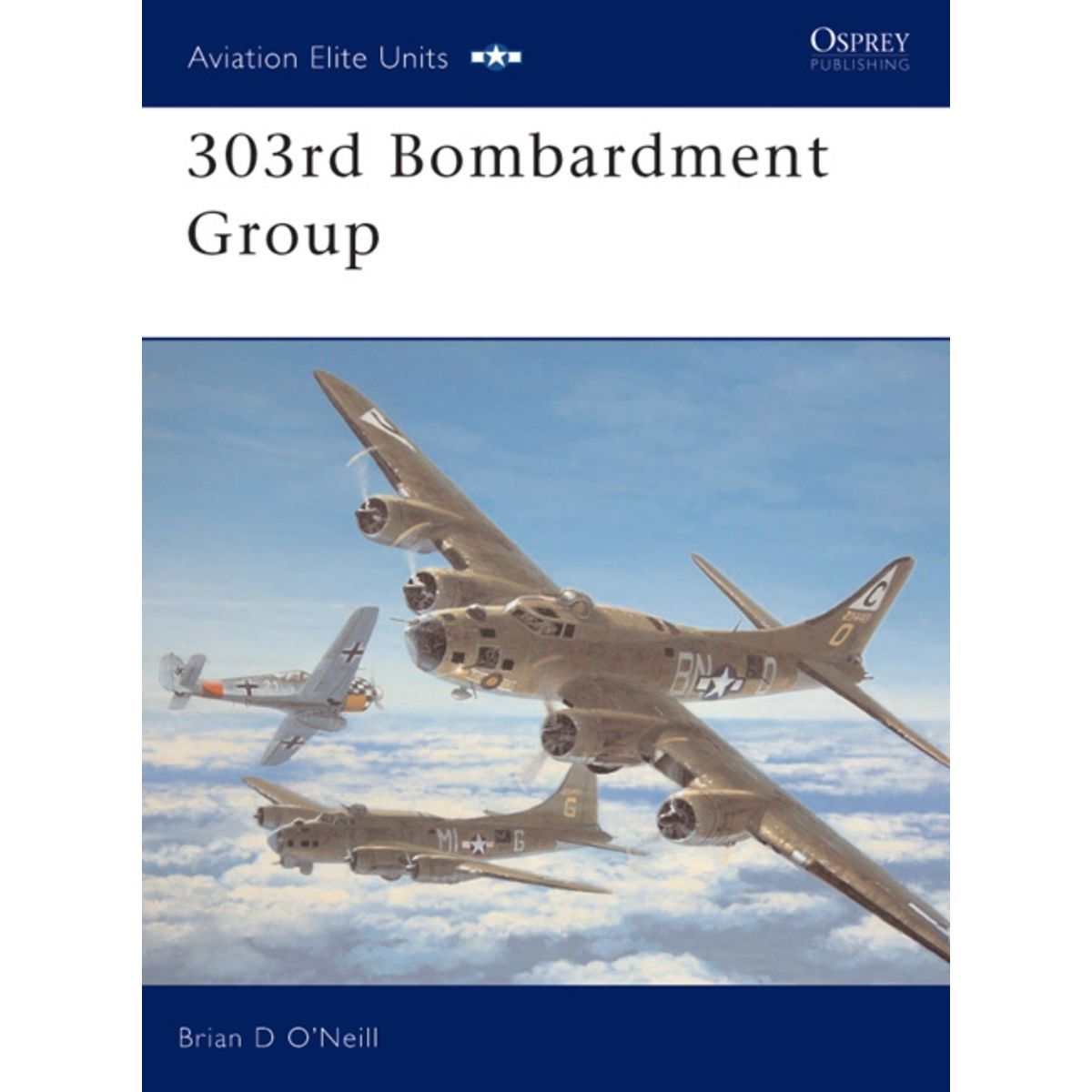 Image for 303rd Bombardment Group - Books