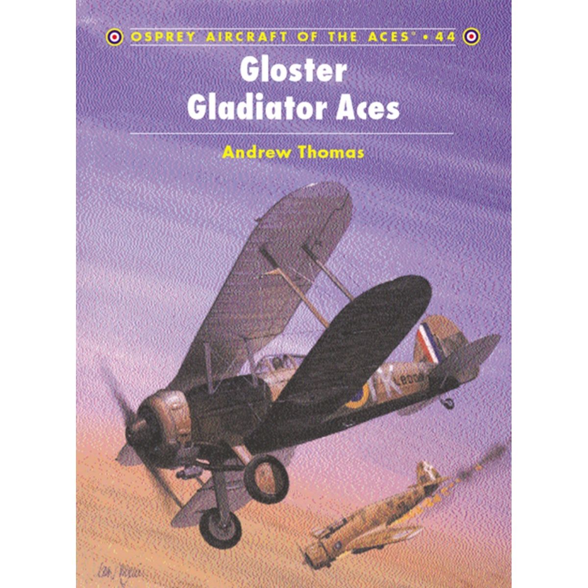 Image for Gloster Gladiator Aces - Books