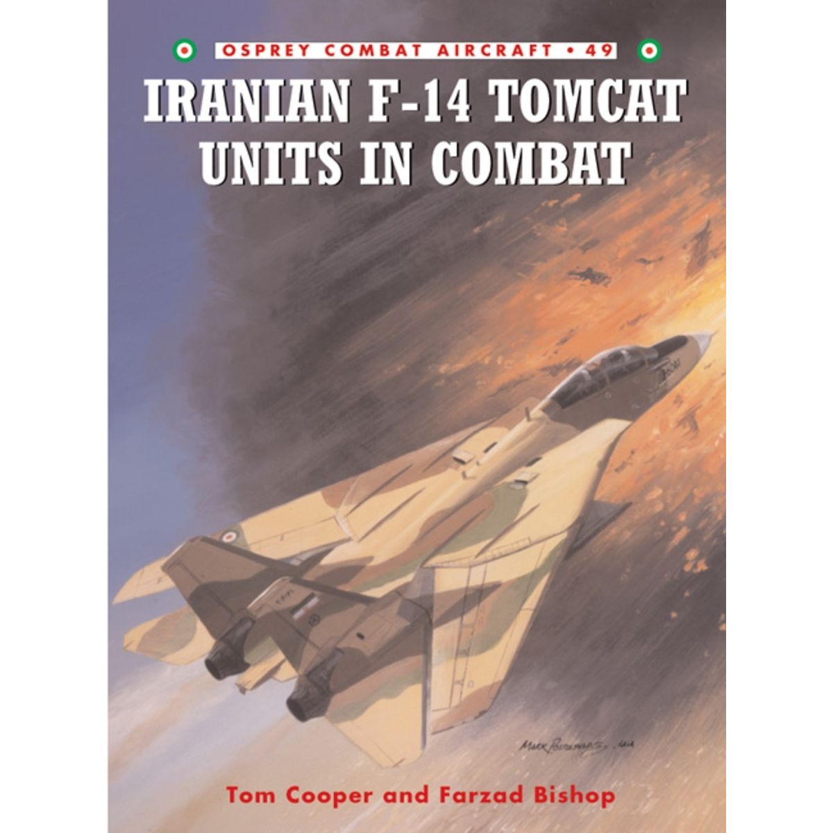 Image for Iranian F-14 Tomcat Units in Combat - Books