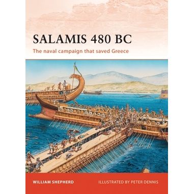 Image for Salamis 480 BC: The Naval Campaign That Saved Greece - Books