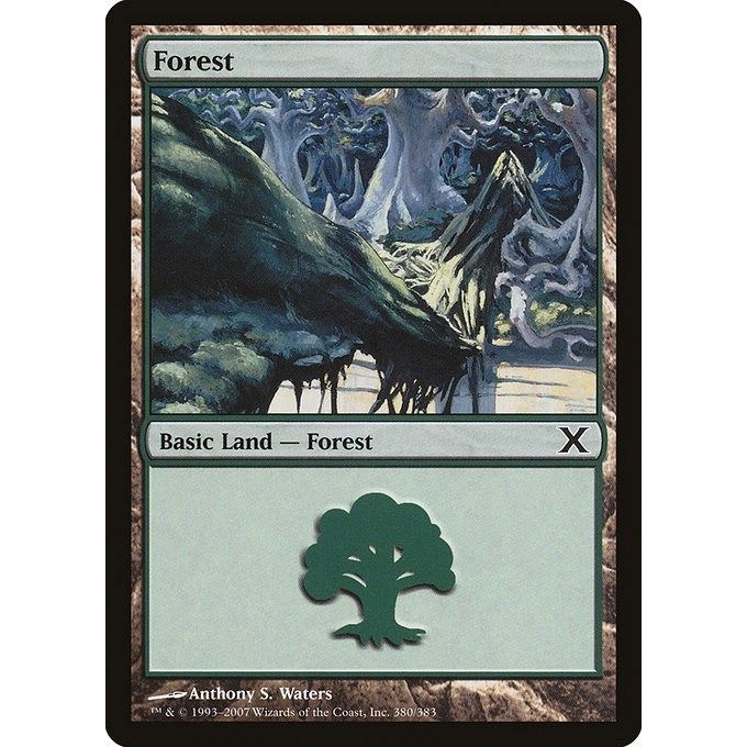 Image for Forest (380) (380) (10E) - Magic: The Gathering
