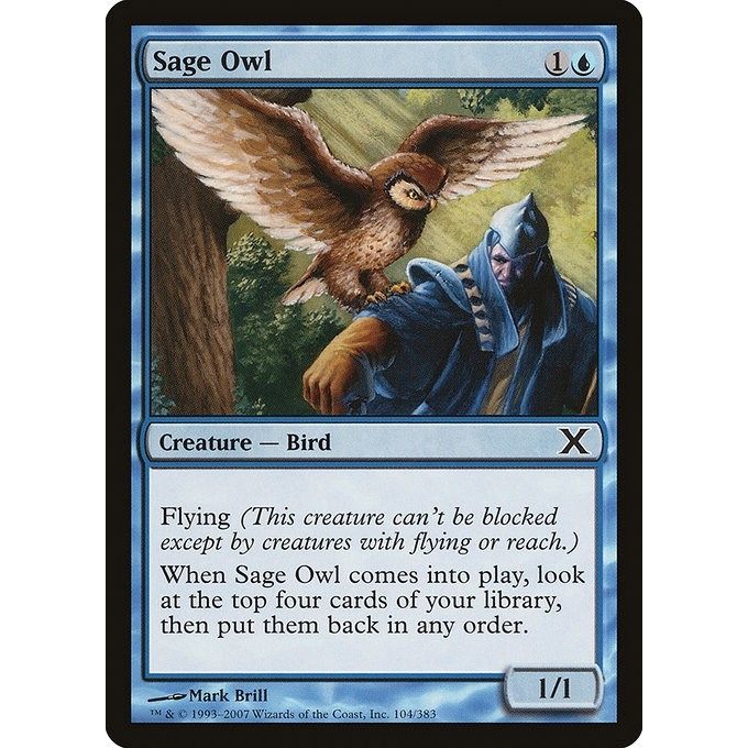 Image for Sage Owl (104) (10E) - Magic: The Gathering