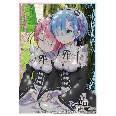 Image for Bushiroad Sleeve Collection HG Vol.1143: Re:ZERO - Rem & Ram (60-Pack) - Card Sleeves