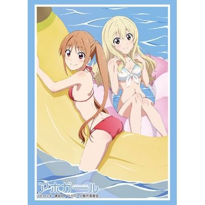 Image for Bushiroad Sleeve Collection HG Vol.1402: Aho-Girl - Yoshiko & Sayaka (60-Pack) - Card Sleeves