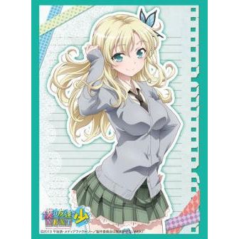 Image for Bushiroad Sleeve Collection HG Vol.492: Haganai NEXT - Sena Kashiwazaki (60-Pack) - Card Sleeves