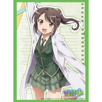 Image for Bushiroad Sleeve Collection HG Vol.494: Haganai NEXT - Rika Shiguma (60-Pack) - Card Sleeves