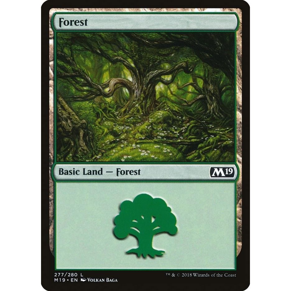 Image for Forest (277) (277) (M19) - Magic: The Gathering