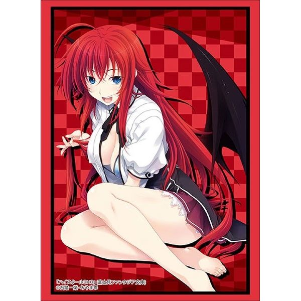 Image for Bushiroad Sleeve Collection HG Vol.2014: Fujimi Fantasia Bunko - High School DxD - Rias Gremory (60-Pack) - Card Sleeves