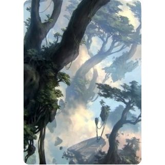 Image for Forest Art Card (19/81) (19) (ASZNR) - Magic: The Gathering