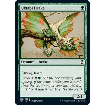 Image for Uktabi Drake (243) (TSR) - Magic: The Gathering