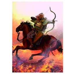 Image for Attila Card Sleeves - Standard (50-Pack) - Card Sleeves