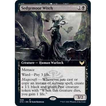 Image for Sedgemoor Witch (Extended Art) (306) (STX) - Magic: The Gathering