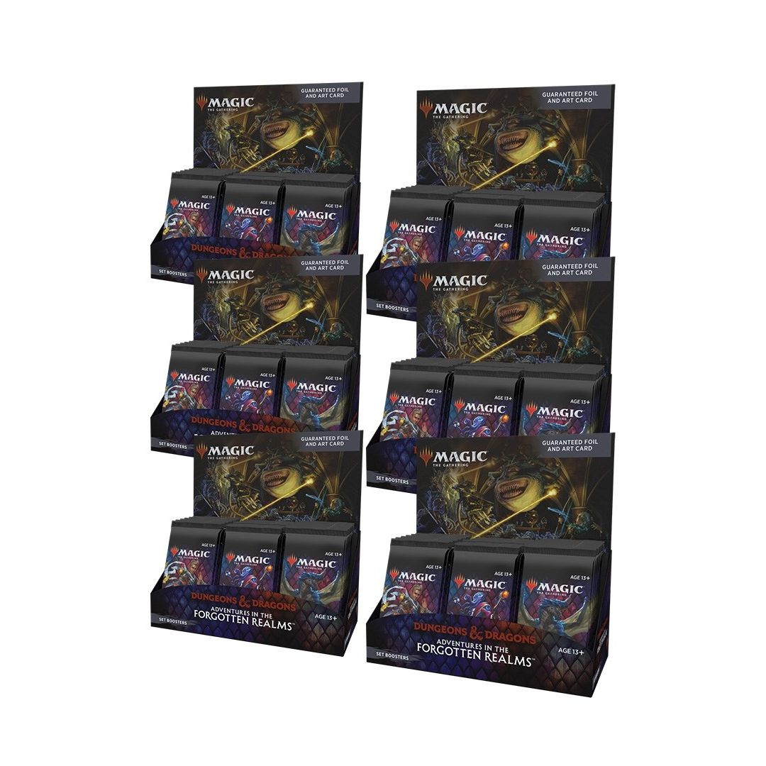 Image for Adventures in the Forgotten Realms - Set Booster Display Case - Magic: The Gathering