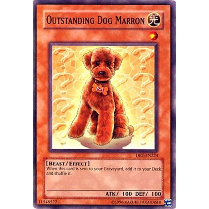 Image for Outstanding Dog Marron (DR1-EN224) (DR1) - YuGiOh