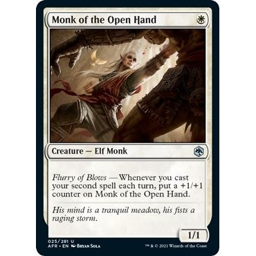 Image for Monk of the Open Hand (25) (AFR) - Magic: The Gathering