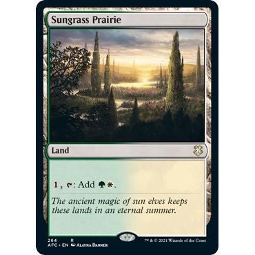 Image for Sungrass Prairie (264) (AFC) - Magic: The Gathering