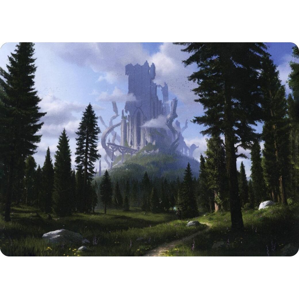 Image for Forest (61/81) Art Card (61) (ASAFR) - Magic: The Gathering