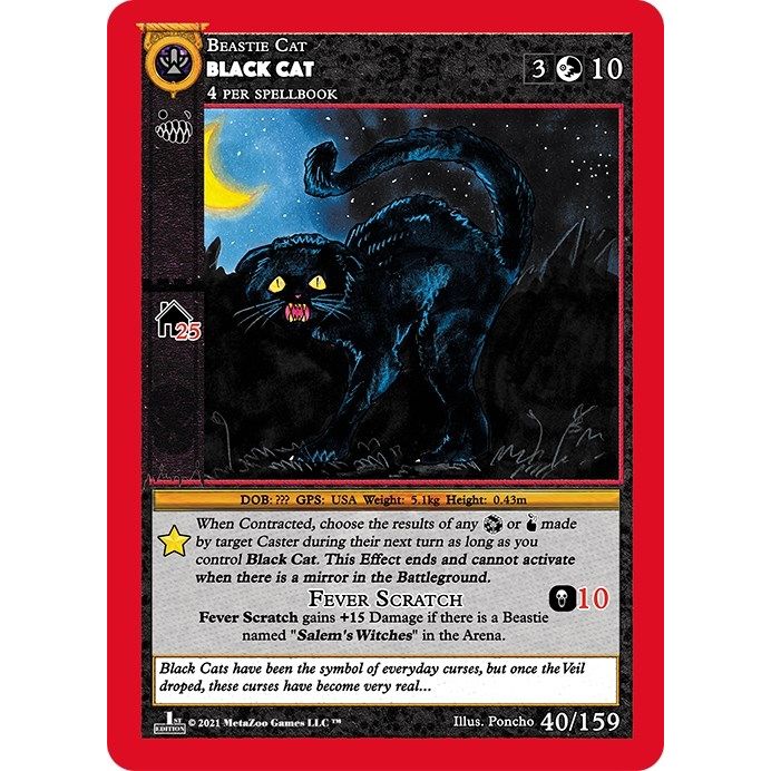 Image for Black Cat (40) (CNFE) - MetaZoo