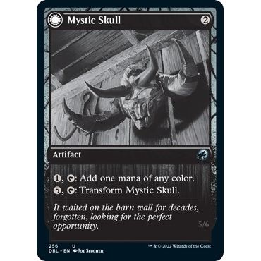 Image for Mystic Skull (256) (DBL) - Magic: The Gathering