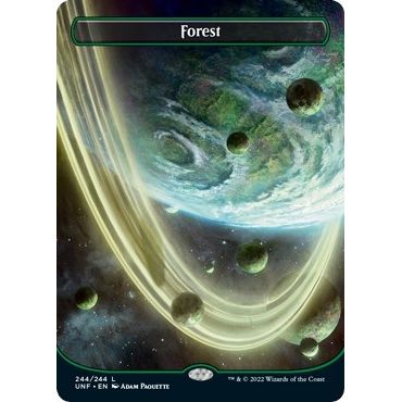 Image for Forest (244) (Borderless) (244) (UNF) - Magic: The Gathering
