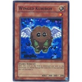 Image for Winged Kuriboh (DR3-EN185) (DR3) - YuGiOh