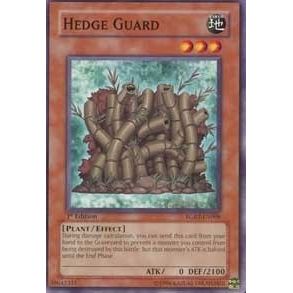 Image for Hedge Guard (RGBT-EN008) (RGBT) - YuGiOh