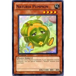 Image for Naturia Pumpkin (STBL-EN031) (STBL) - YuGiOh
