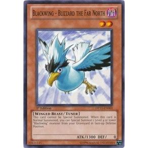 Image for Blackwing - Blizzard the Far North (DP11-EN003) (DP11) - YuGiOh