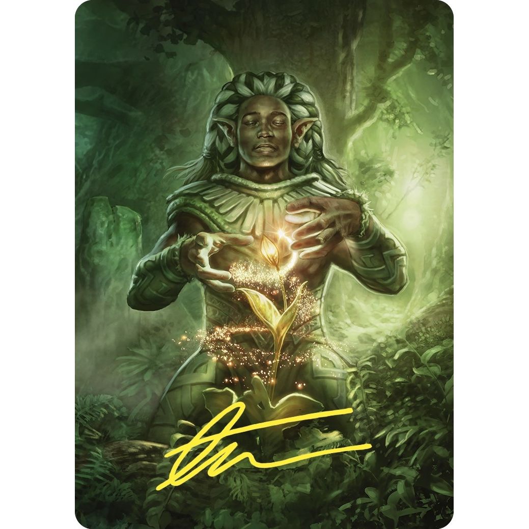 Image for Elvish Mystic Art Card (Gold-Stamped Signature) (41) (ASCMM) - Magic: The Gathering