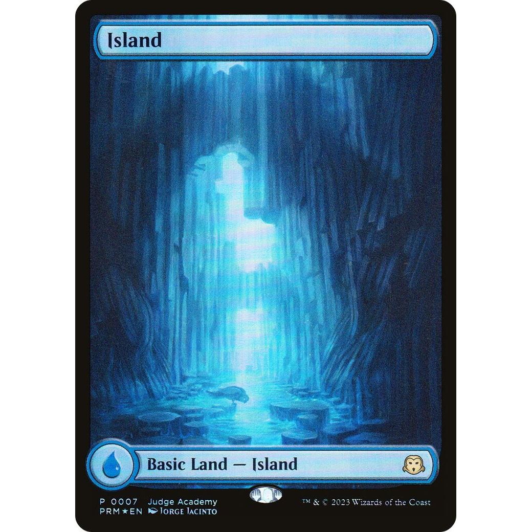 Image for Island - Full Art (0007) (7) (JDG) - Magic: The Gathering