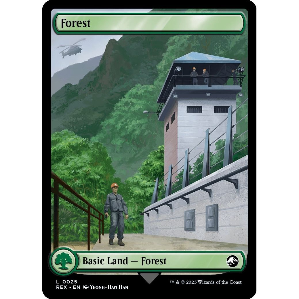 Image for Forest (25) (REX) - Magic: The Gathering
