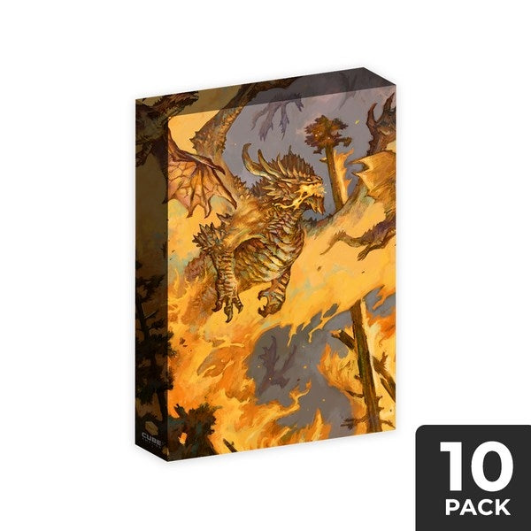 Image for Cubeamajigs Reusable Gaming Packs - Dragon Tempest by Tom Babbey (10-Pack) - Collectible Storage