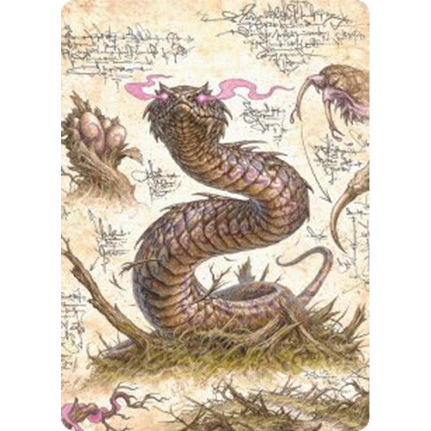 Image for Rottenmouth Viper Art Card (36) (ASBLB) - Magic: The Gathering