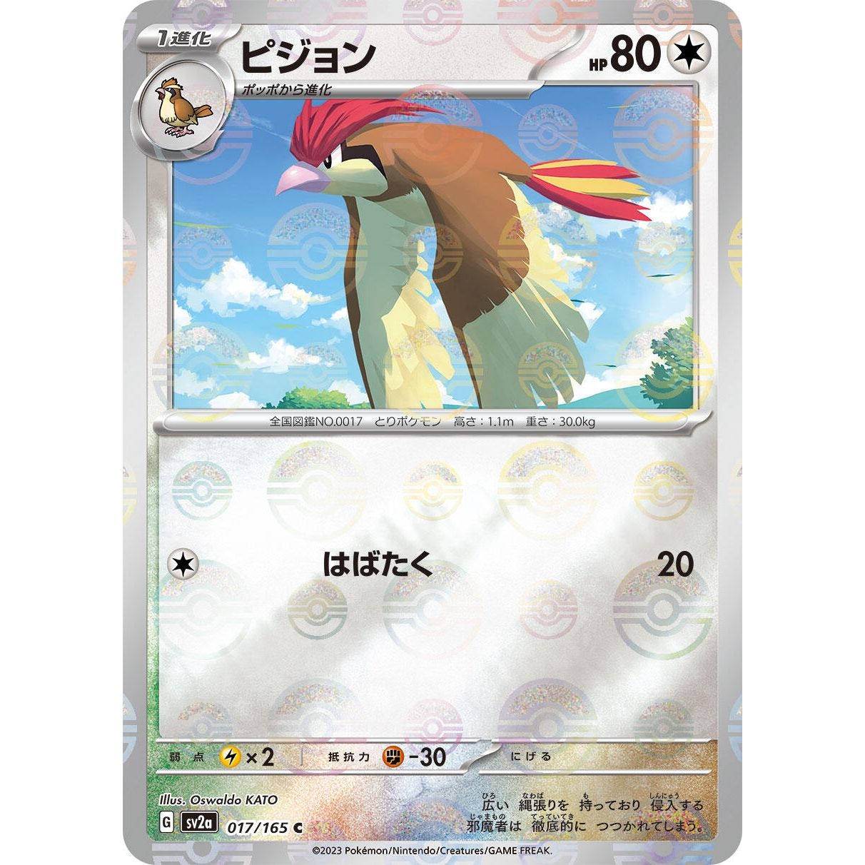 Image for Pidgeotto (Poke Ball Pattern) (017/165) (SV2a) - Pokemon Japan