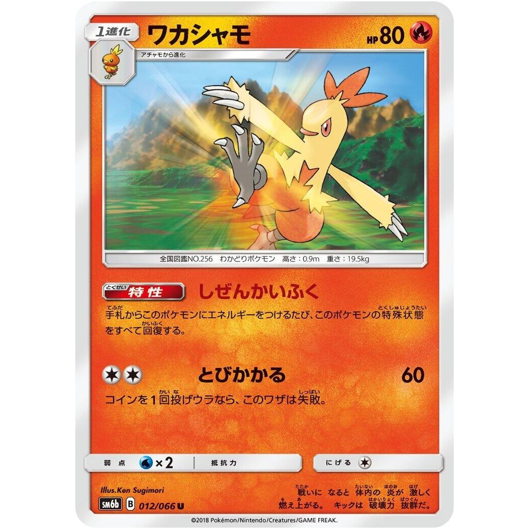 Image for Combusken (012/066) (SM6b) - Pokemon Japan