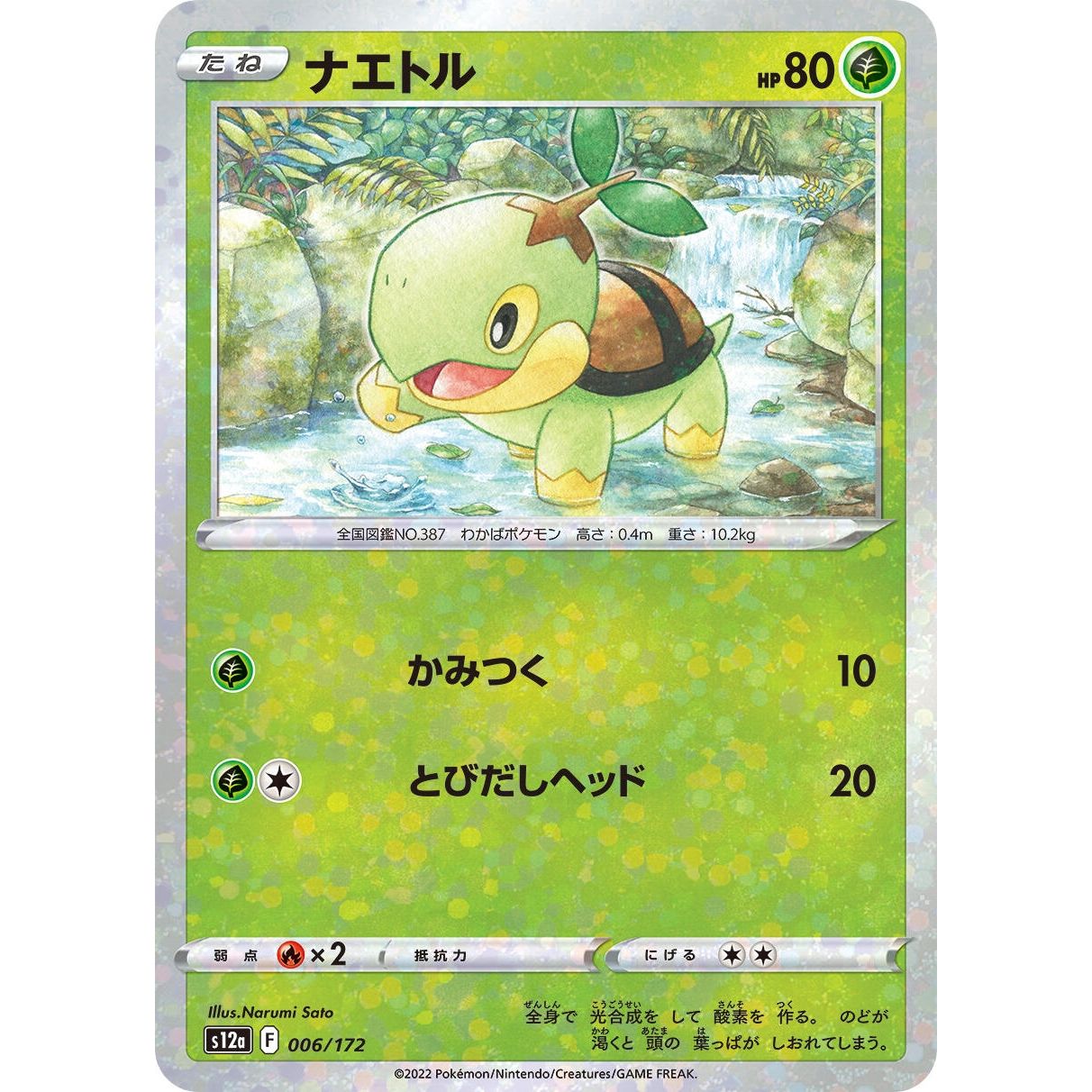 Image for Turtwig - 006/172 (Mirror Holofoil) (006/172) (S12a) - Pokemon Japan