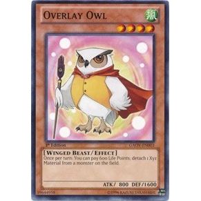 Image for Overlay Owl (GAOV-EN003) (GAOV) - YuGiOh