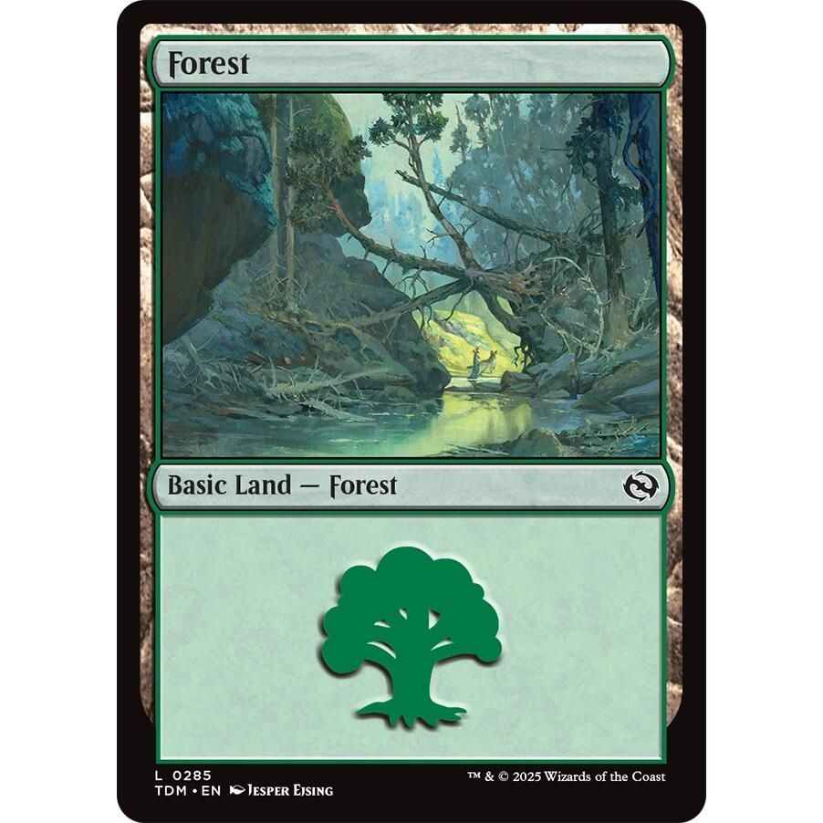 Image for Forest (0285) (285) (TDM) - Magic: The Gathering