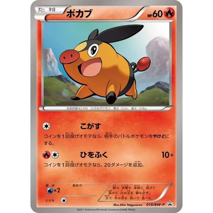 Image for Tepig - 019/BW-P (019/BW-P) (BW-P) - Pokemon Japan
