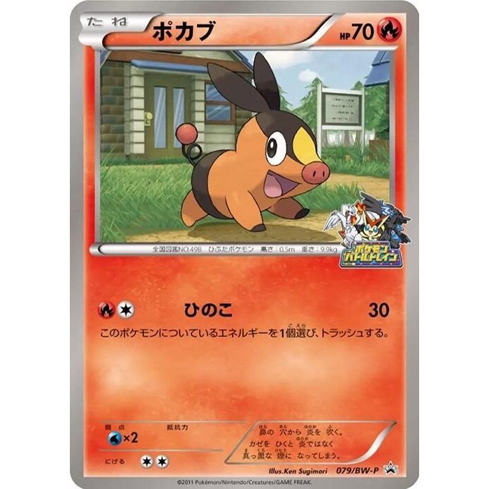 Image for Tepig - 079/BW-P (079/BW-P) (BW-P) - Pokemon Japan