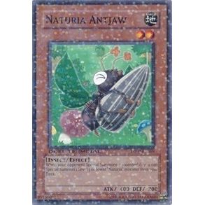 Image for Naturia Antjaw (DT02-EN069) (DT02) - YuGiOh