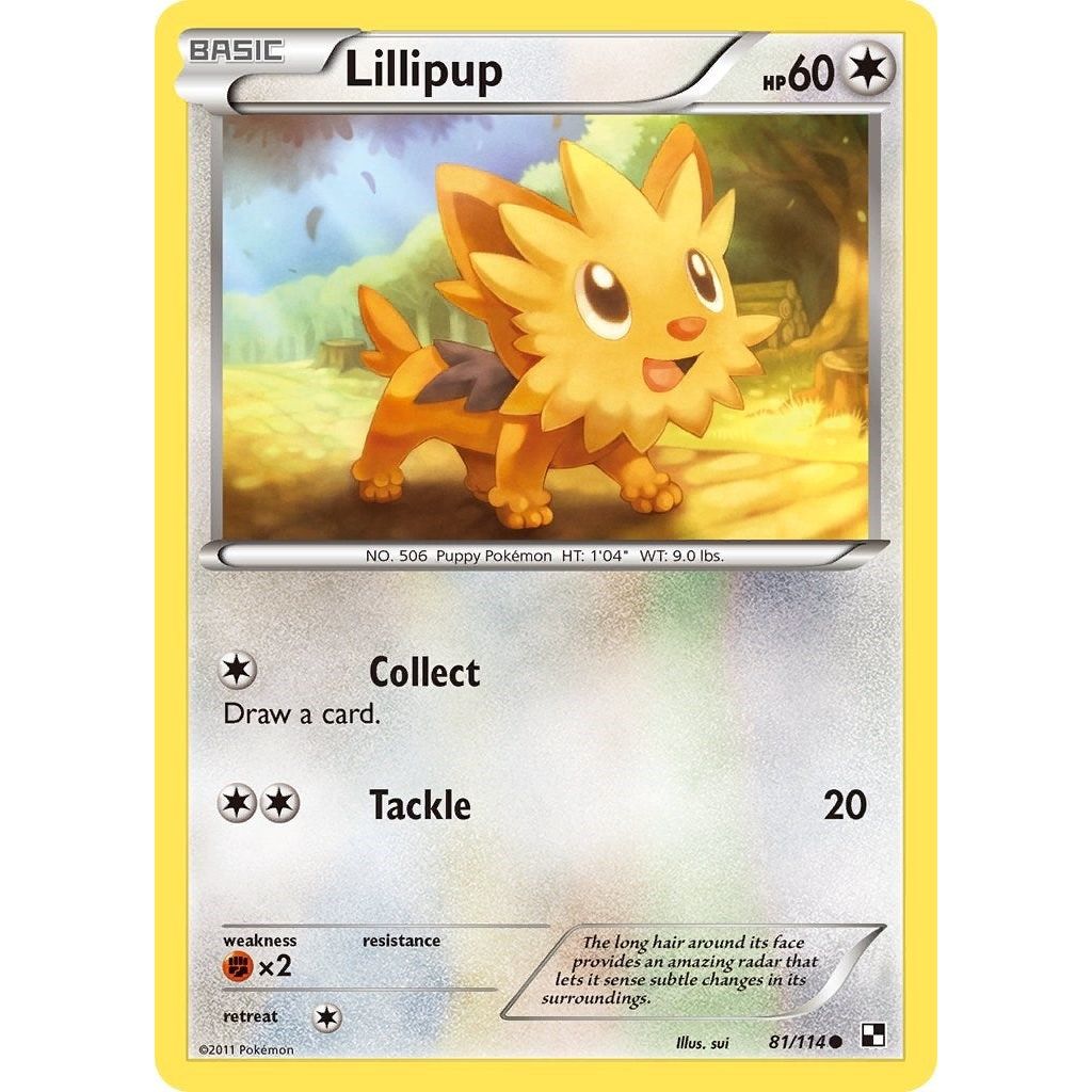 Image for Lillipup (81) (81/114) (BLW) - Pokemon