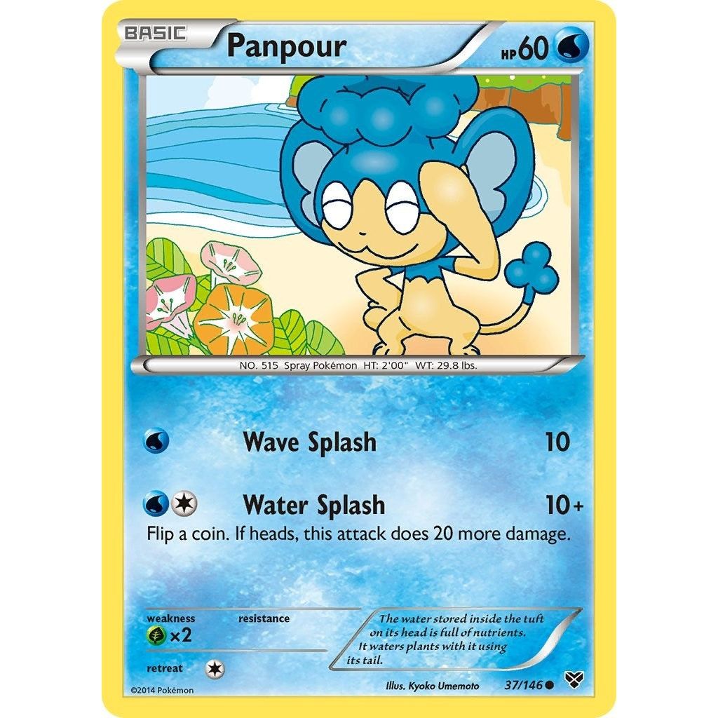 Image for Panpour (37/146) (XY) - Pokemon
