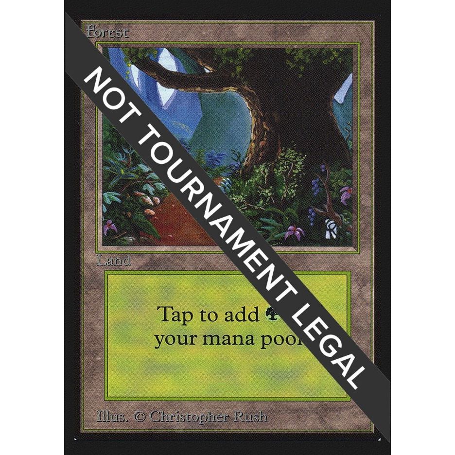 Image for Forest (B) (CE) (281) (CED) - Magic: The Gathering