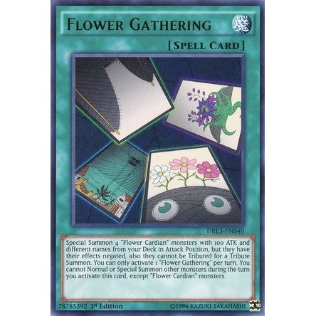 Image for Flower Gathering (DRL3-EN040) (DRL3) - YuGiOh