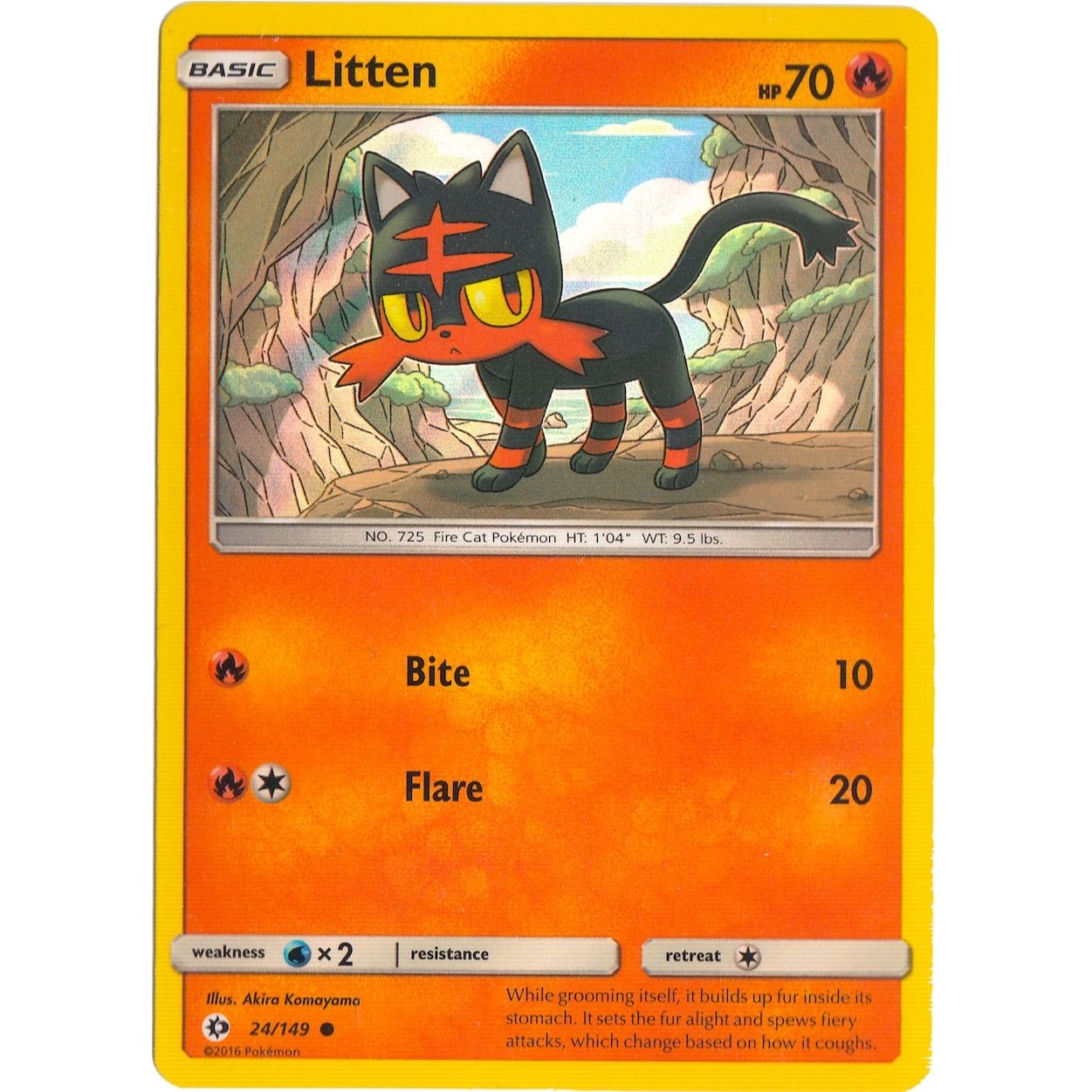Image for Litten - 24/149 (Water Web Holo) (024/149) (MCAP) - Pokemon